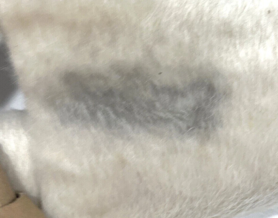 Loloi II Grand Canyon Ivory 3'-10" X 5' Area Rug GRANGC-10IV003A50 (Damaged) - Image 4 of 4