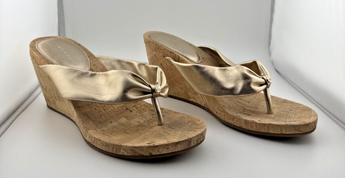 Alex Marie Gold Thong Women's Shoes Wedge Sandals Heels Size 9