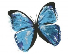 temporary tattoo - Set of two wrist size Butterfly approx. 1.5" each  