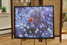 16x20 floating canvas photo