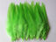 thumbnail 24  - Beautiful 50pcs/100pcs rooster tail feathers 10-15cm / 4-6inch 30 Colors