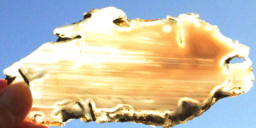 Losa de geoda natural - marrón - blanca - 12075 gramos - translúcida - Arizona - Imagen 3 de 4