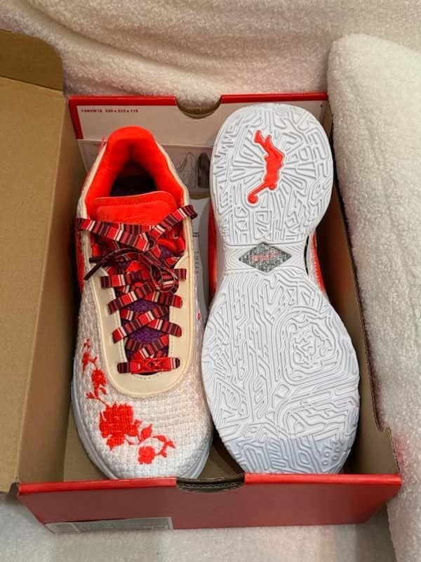 NIKE x Mimi Plange ☆ LeBron 20 Premium Mimi Plange Nike LeBron 20 PRM FJ0725-801 | SneakerNews.com