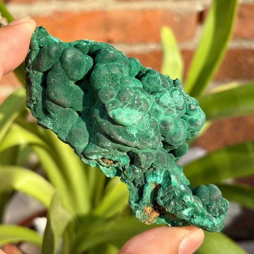 160G Natural Glossy Malachite Coarse Cat's Eye Cluster Rough Mineral Specimen - 第 6/13 張圖片