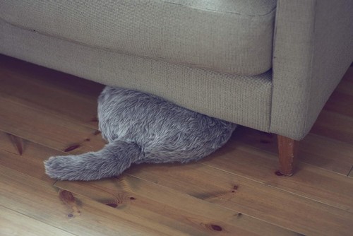 Qoobo Husky Grey Yukai Engineering Cushion-shaped therapy robot with a tail❤️NEW - Picture 4 of 4