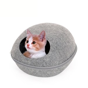 cat sleeping house