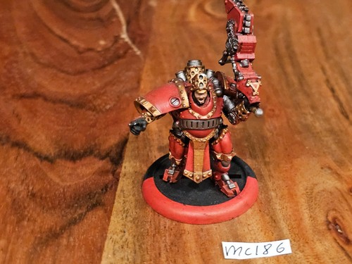Hordas Warmachine Khador Hombre-O-Guerra Bombardier Oficial Bien Pintado MC186 - Imagen 13 de 24