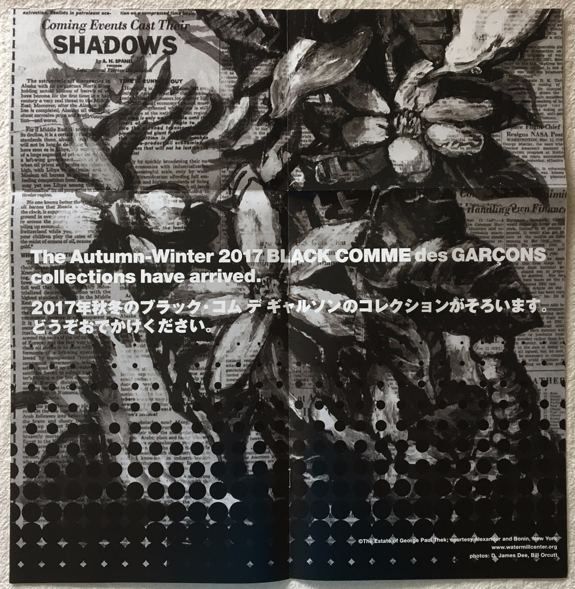 COMME des GARCONS PAUL THEK 2017 Booklet 16 Pamphlet Flyer
