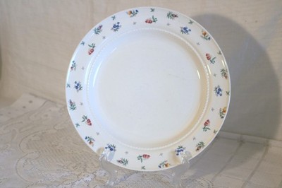 HARMONY HOUSE HALL MONTICELLO PINK BLUE USA 28 Pc Set 7 Pc Place