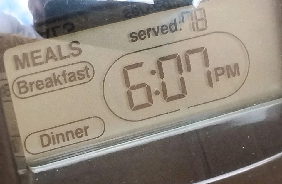 PETMATE Le Bistro Programable AUTOMÁTICO Control de Porciones ALIMENTADOR PARA MASCOTAS Tiene Capacidad 10 Lbs Foto 4 de 4