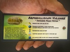 Isopod Bin Label- Armadillidium Vulgare Japanese Magic Potion