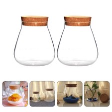 2 Pcs Glass Sealing Jar Decorative Vase Display Pot Micro Landscape