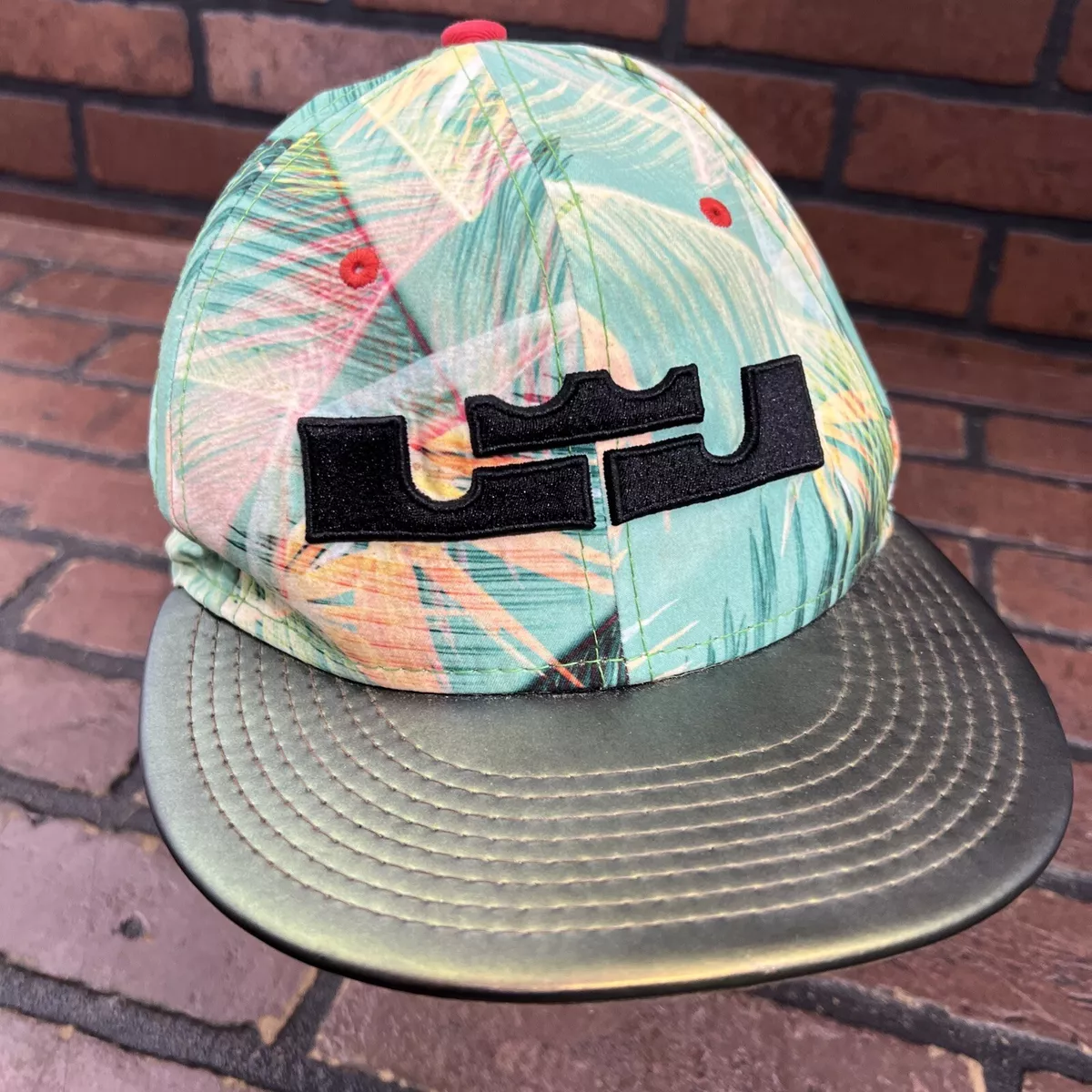 lebron james nike hat