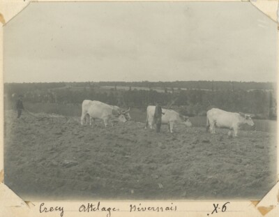 Cr cy les Forges Decize Ni vre Attelage Nivernais Monde Rural cr-cy-les-forges-decize-ni-vre-attelage-nivernais-monde-rural