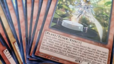 Yugioh! - Random - Plant - Commons - (SINGLES)