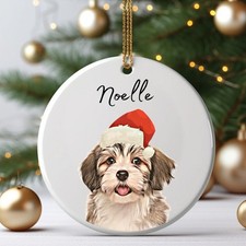 Personalized Pet Photo Christmas Ornament - Custom Dog Ornament, Ceramic Gift