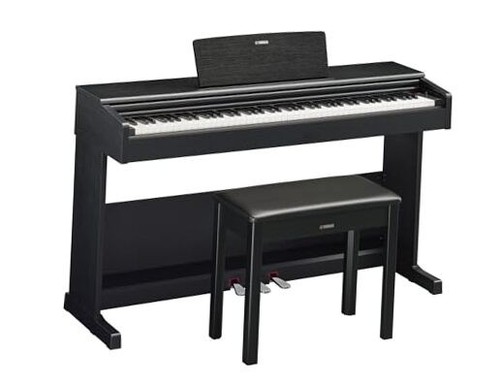 Arius, 88-Key Weighted Action Digital Beginner and Intermediate Black 105 889025142038| eBay