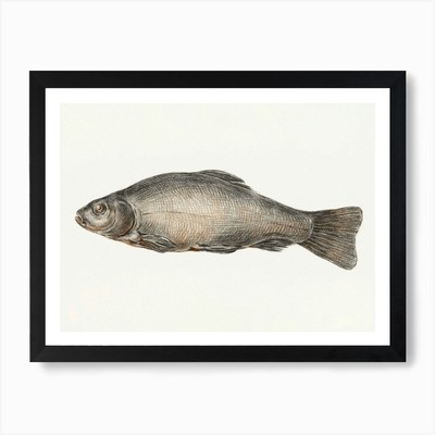 Fisch 3, Jean Bernard Kunstdruck gerahmt Wandbild Poster Leinwanddruck Bild