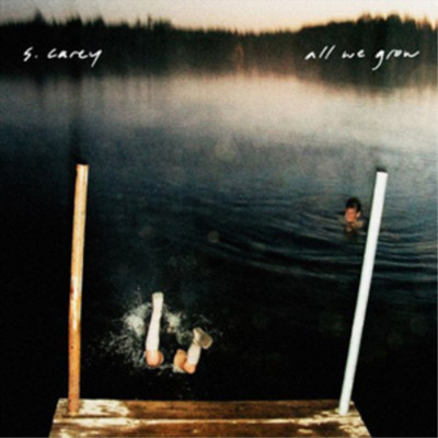 S. Carey All We Grow (CD) Album