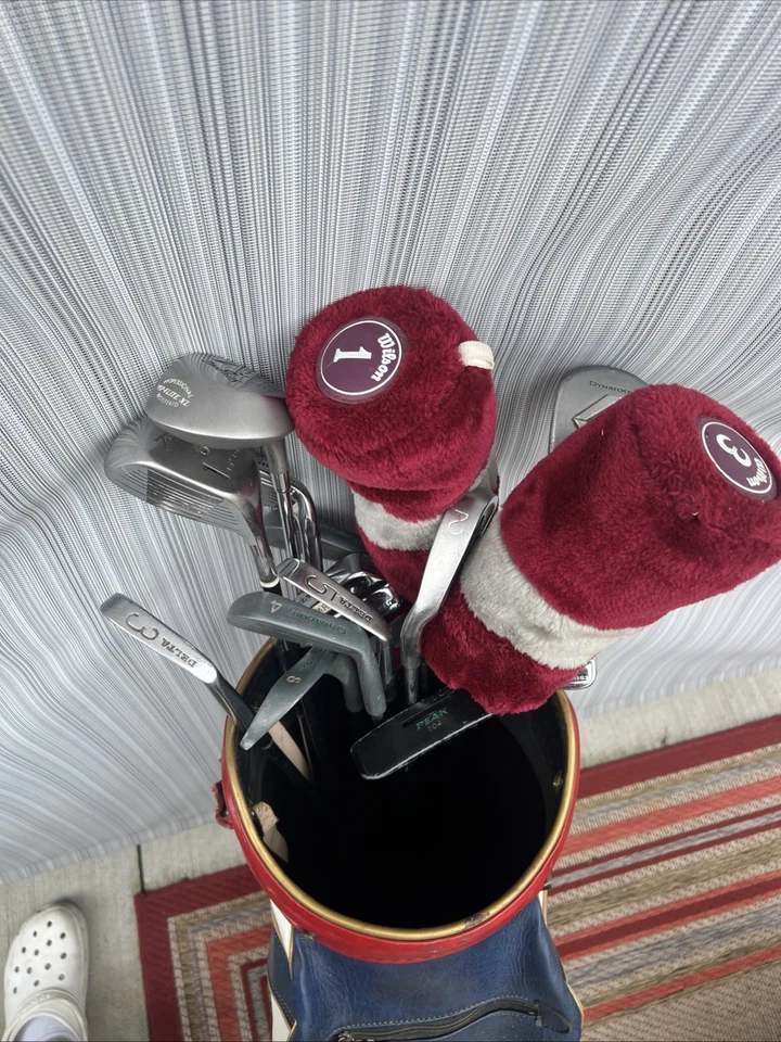 Wilson Profile SGI Mens Golf Club Set  Driver, Irons, Bag, Putter RH See Desc - Image 2 of 4