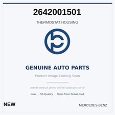 Thermostat Mercedes 300