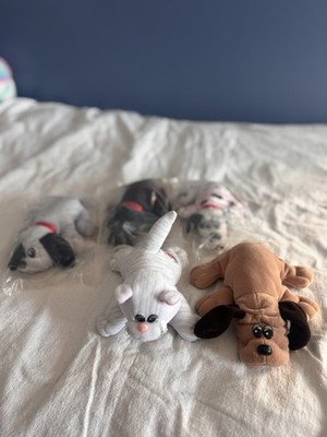 Lot Of Pound Puppies. 4 Puppies 1 Cat. 