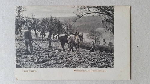 PLOUGHING Vintage Postcard (Rowntree Series Advertising Farming Rural ...
