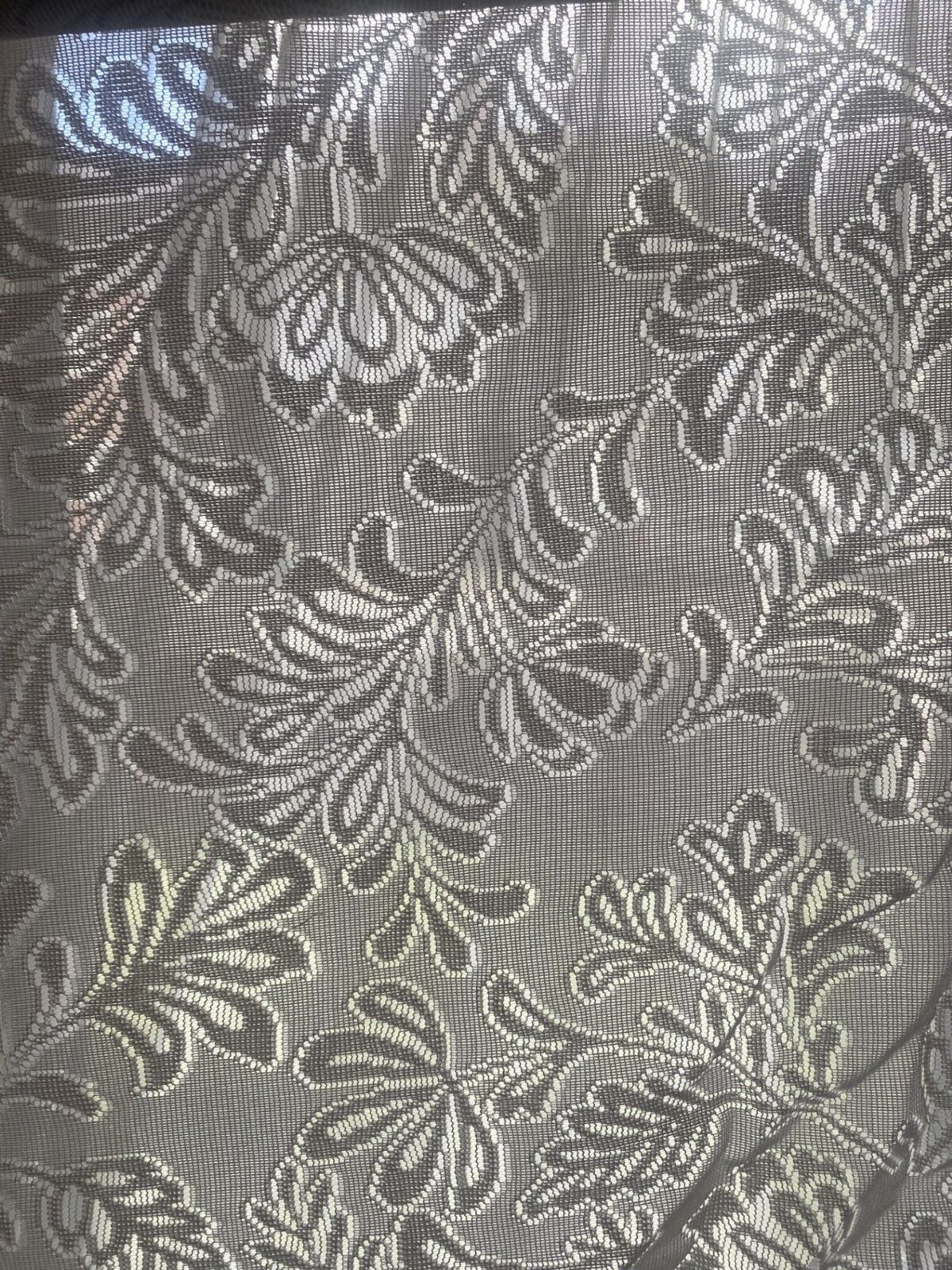 Picture 5 of 11