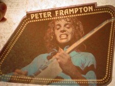 PETER FRAMPTON LIVE 1970's VINTAGE ROCK  ROLL IRON ON TRANSFER B-17 -NICE 