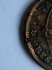 c1833 Hard Times Copper Token Andrew Jackson “I Take Responsibility” Donkey — photo 5