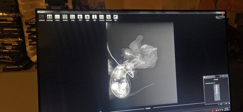 varian paxscan 14x17 digital image receptor. 4336R | eBay