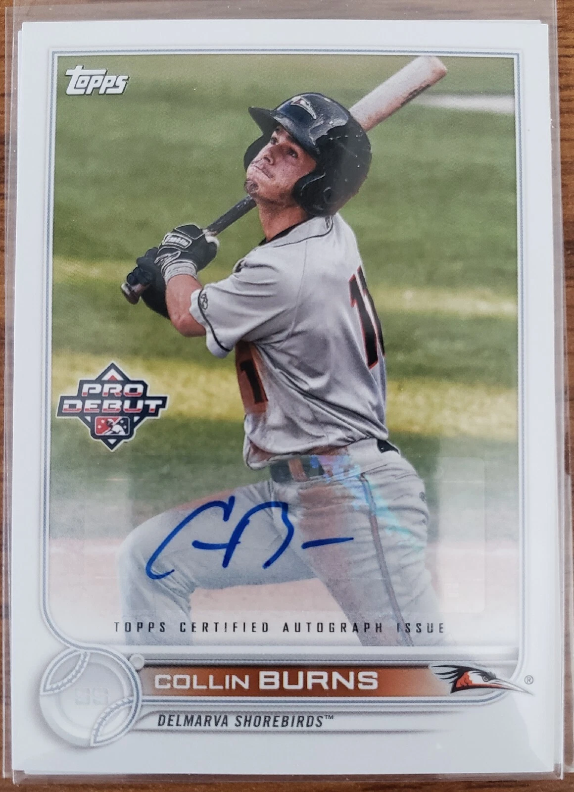 Collin Burns trading card