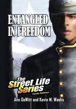 Entangled in Freedom: A Civil War Story by Ann DeWitt & Kevin M. Weeks (English)