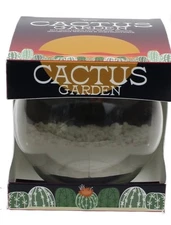 Buzzy DIY Cactus Terrarium Complete Kit: Glass,Rocks,Medium & Seed Pack desktop 