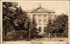 Zoological Museum Bucharest Romania vintage postcard s399