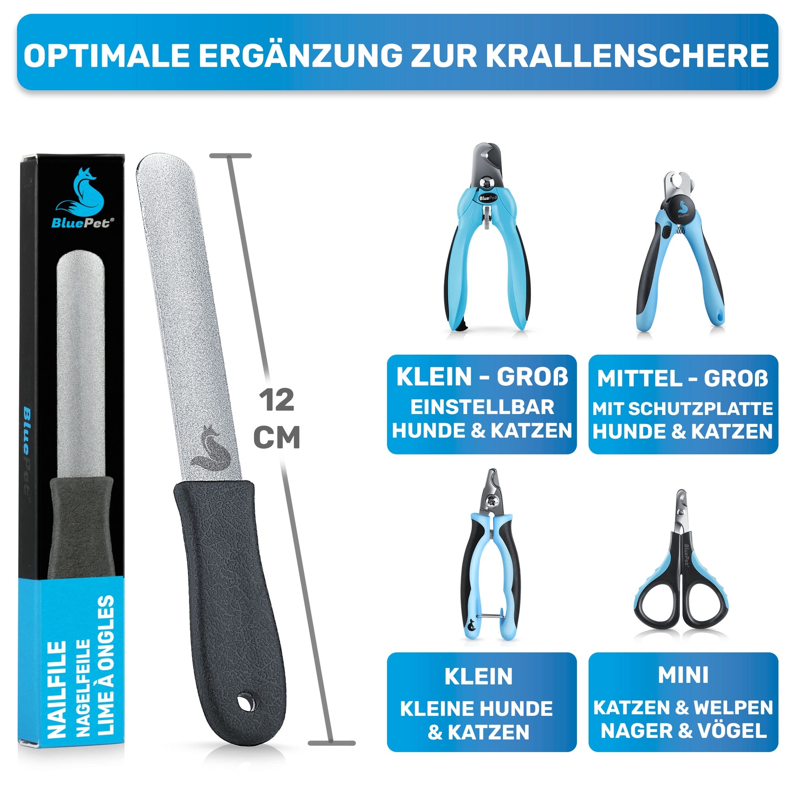 Bild 7 von 8