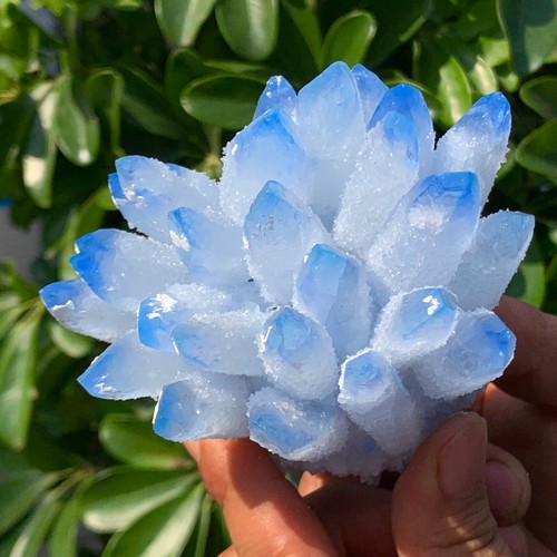 451G New Find sky blue Phantom Quartz Crystal Cluster Mineral Specimen Healing - 第 11/13 張圖片