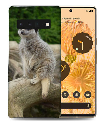 CASE COVER FOR GOOGLE PIXEL|CUTE ANIMAL MEERKAT 2