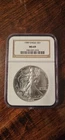 NO SPOTS OR TONING 1989 AMERICAN SILVER EAGLE MS-69 NGC NO SPOTTING AND NO TONED