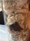 Space X Starship SN24 Heat Shield Thermal Tile Fragments 1 Custom Display Glass — photo 4