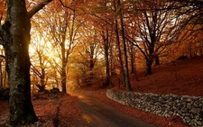 Landscape fall nature stone wall road forest rocks trees Custom Gaming Mat Desk