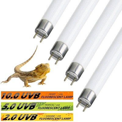 light bulb for lizard tank