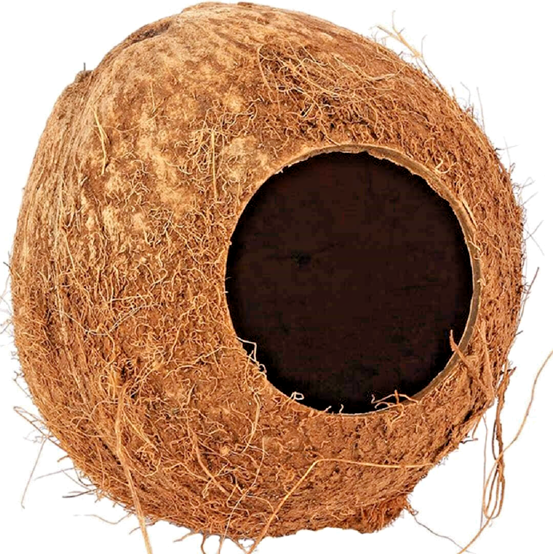 HAPPY PET COCONUT HUT 12cm : Small Animal Hideaway Home Hamster Gerbil Mice Hide