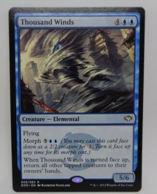 Thousand Winds | Rare | Magic the Gathering (englisch) | nm