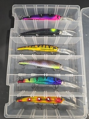 (6) Bandit Lures Deep Divers Fresh Water Crankbaits 6'' Plano Case Included 