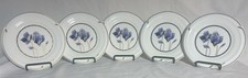 MOMOYAMA GABRIELLI 7” PORCELANA ITALIANA IRIS PÚRPURA ADORNO DORADO 5 PLATOS PARA PASTELES