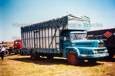 Foto camion trasporto bestiame Francia blu PARIGI Marsiglia #o2kc