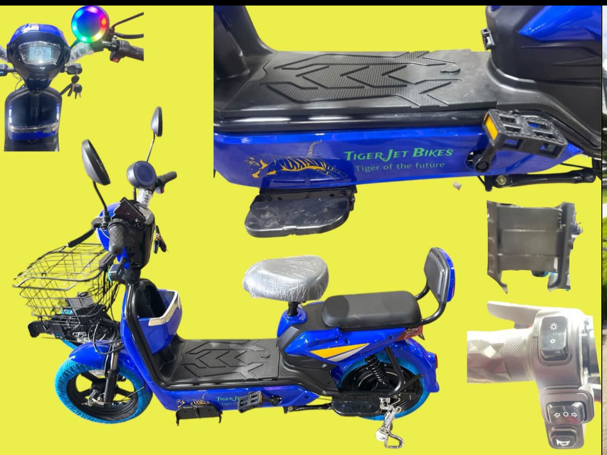 500 Watt Electric Scooter / Bike 48 Volt Battery 2Seats Remote