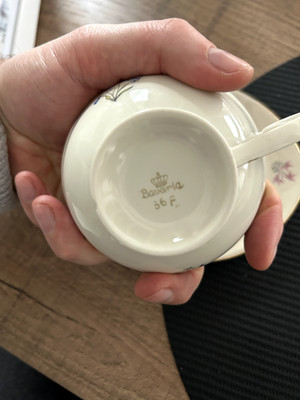 bavaria porzellan 56F 2 teiliges Kaffeeset Blumen goldrand