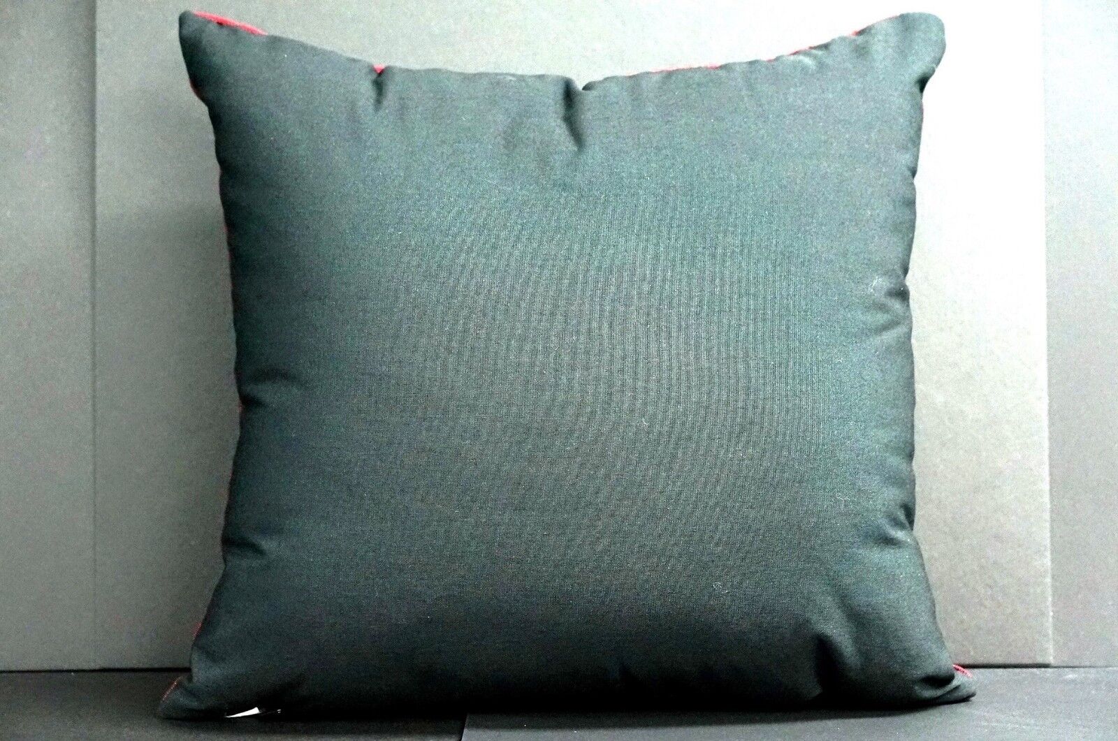 Brooklyn Landmark Pillow - ORIGINAL DESIGN Bridge Coney Island Prospect Park NEW - Picture 12 of 12